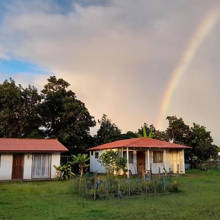 Cabanas Isla De Pascua Ханга Роа Екстериор снимка